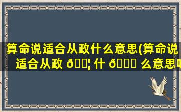 算命说适合从政什么意思(算命说适合从政 🐦 什 🐟 么意思呀)
